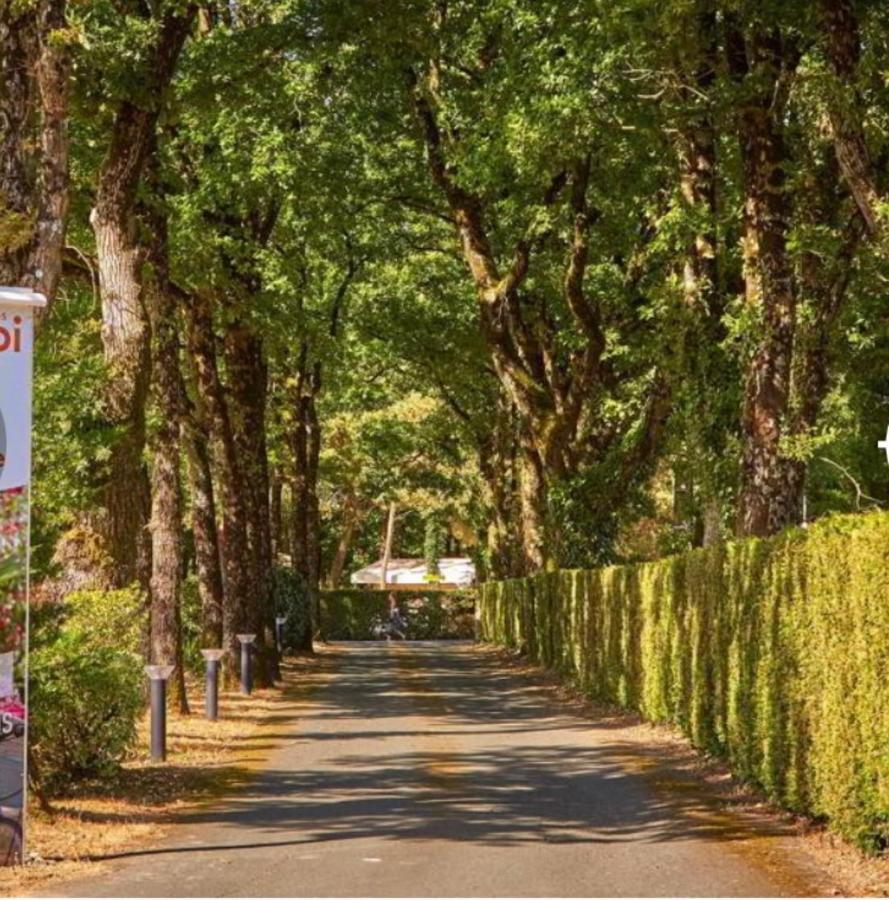 Camping Tohapi Coeur De Vendee La Boissiere-de-Montaigu Kültér fotó